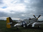 Mustang and Spitfire