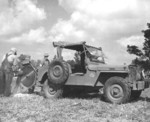 Cesor Farm Demo WO 1946